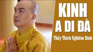 Tụng Kinh A Di Đà - Kinh Phật Giáo Hay Nhất (Thích Nghiêm Bình)