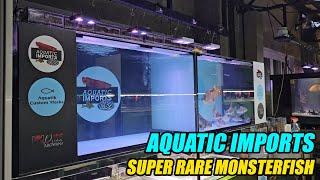 Petshop Visit: Aquatic Imports - Super Rare Monsterfish - PART 2