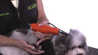 How To Use Attachment Combs - How to Groom Dogs with Andis