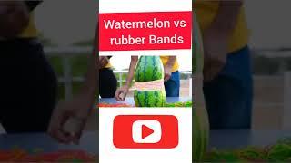 watermelon versus rubber bands