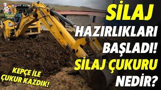 Silajın serüveni! [Bölüm 1] Silaj Çukuru nedir? Silajlar neden çukurda toplanır?  Silaj nedir?