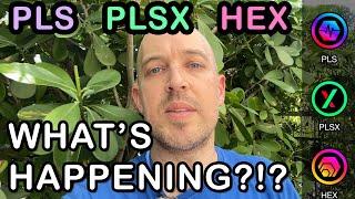  PLS, PLSX and HEX - What's happening with PulseChain ?!?