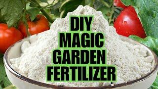 Magic Fertilizer For All Vegetables | 100% Success Results!!!