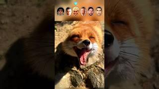 Ronaldo | Messi | Maradona | Mbappé | Haaland | Yamal | The Battle Of Animal