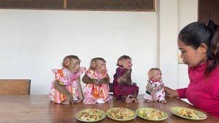 Mom Prepare Four Plates Of Special Recipe For MM's , TanTan & ATong