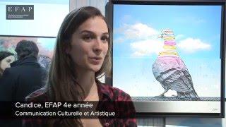 Semaine "Etude de cas" pour tous les étudiants de 4e année de l'EFAP