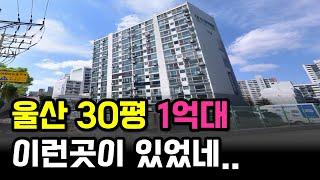 와.. 이런 곳이 있었네.. 울산 1억대 가성비아파트