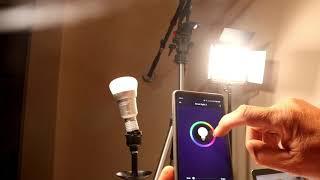 How to setup   Smart Light Bulb to Amazon Alexa and Google Home