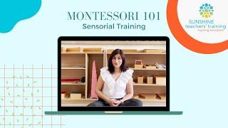 Montessori 101   Sensorial Training