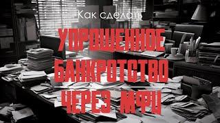 Банкротство физ лиц через МФЦ. Как сделать самостоятельно банкротство?
