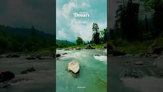 Beauty of Dooars | #youtuber #youtube #nature #shorts