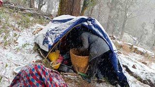 Survival Life In Nepali Mountain Villager People During Winter Season |Shepherd's Life | Rainy Day |