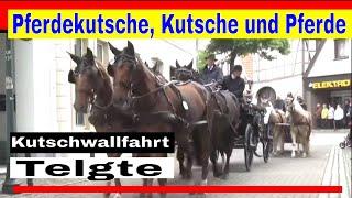 Pferdekutsche, Kutsche und Pferde auf der Kutschwallfahrten in Telgte 2014