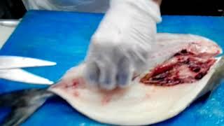 How to cut butterfly cut fish