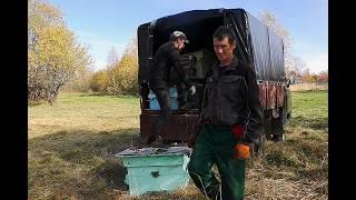  ПАСЕКА С НУЛЯ И НУЛЕМ В КАРМАНЕ: СОСЕДИ КРУТЯТ ПАЛЬЦЕМ У ВИСКА