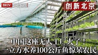 中国这座鱼菜共生工厂火遍全网！占地4000平米无人全自动，一立方米水养100公斤鱼，蔬菜产出超传统大棚3倍，全国农民都惊了！【创新北京】