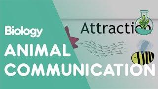 Animal Communication | Ecology & Environment | Biology | FuseSchool