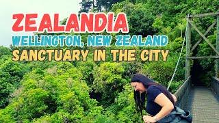  Exploring Zealandia Wildlife Sanctuary in Wellington | Honest Review & Travel Guide