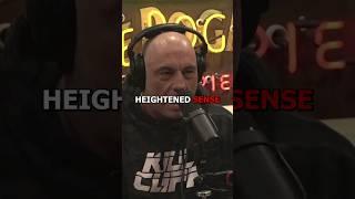 Crazy Heightened Sense - Joe Rogan