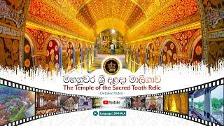 Sri Dalada Maligawa ශ්‍රී දළදා මාලිගාව - Detailed Video Profile | Sinhala