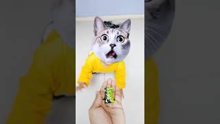 Billi boli meow meow  #funny #cat #trendingshorts #shorts #viralshorts #billi #cute