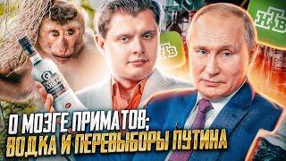 Впервые на НТВ о мозге приматов; водка и перевыборы Путина: выступление Е. Понасенкова