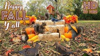 [10 Hours- No Interruptions] TV for Dogs & Cats | Squirrels, Birds & Chipmunks enjoy Fall/Autumn