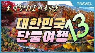 명실상부한 대한민국 최고의 단풍 여행지 13곳| #단풍명소 #가을단풍여행지 #단풍명소추천 | 가을 단풍여행지 추천