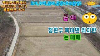 매물524 청원구 북이면 급매로 나온 논 매매