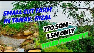 (PROPERTY #43) SMALL CUT FARM LOT FOR SALE IN TANAY, RIZAL WITH ACCESS TO SPRING - WITH TITLE!