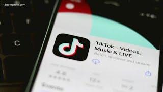 President-elect Donald Trump urges Supreme Court to pause implementation of TikTok ban