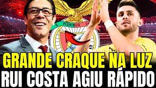 MINHA NOSSA! EXPLODIU! GRANDE CRAQUE NA LUZ! BENFICA AGIU RÁPIDO! NOTÍCIAS DO BENFICA! BENFICA