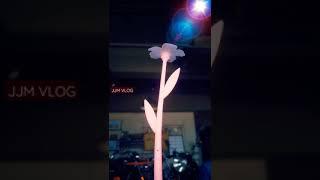 Flower || mind-blowing || JJM VLOG || #Shorts