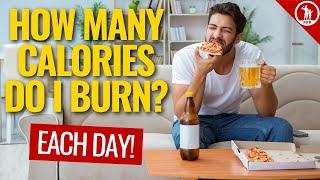 How Many Calories Do I Burn A Day? + Calorie Calculator For Weight Loss