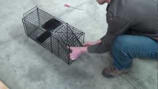 Small animal trap video