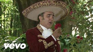 Vicente Fernández Hijo - Desde Que Tú Te Fuiste