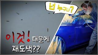 이것을 무시하면 "폐차"까지??  벌똥 제거 및 원인을 알아보기 (How to remove bee feces) [차좋아]