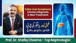 Fatty Liver Symptoms,Causes,Diagnosis & New Treatment #fattyliver #jigar #mash #liverfailure