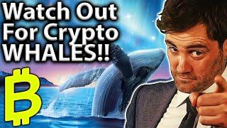 Watch The WHALES!! 101 Guide To Wallet Tracking!! 