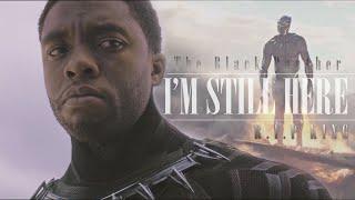 The Black Panther | I'm Still Here