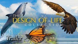 THE DESIGN OF LIFE COLLECTION—Official Trailer