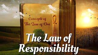 What is The Law of Responsibility? | Studying Law of One Concepts  // 018