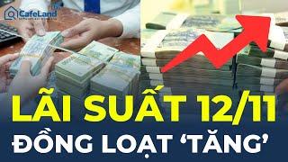 Lãi suất ngân hàng 12/11: Đồng loạt 'TĂNG' lãi suất huy động | CafeLand