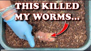 Avoid This Toxic Food In Your Worm Bin!!! | Vermicompost Worm Farm