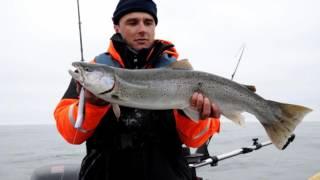 Ep  203 Mark Bowler, Sea Trout