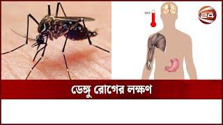 ডেঙ্গু হলে যেসব লক্ষণ প্রকাশ পেতে পারে | Dengue Symptoms | Channel 24