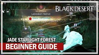 Jade Starlight Forest Beginner Grinding Guide | Black Desert