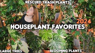 Top 10 Favorite Plants of 2024