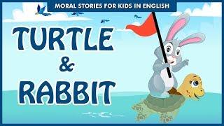 Turtle & Rabbit | Secret of Winning Together | Bedtime Stories | English Moral Stories Ted And Zoe