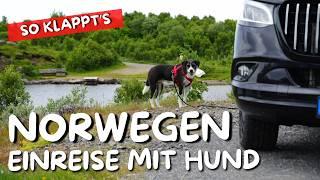 Skandinavien mit Hund  Norwegen, Schweden, Dänemark & Finnland ️ Einreise Regeln für eure Reise